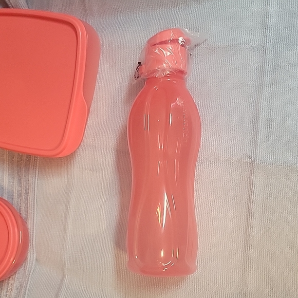 Tupperware LunchIt 3 Pc Set RHUBARB IS ONLY COLOR LEFT - Picture 9 of 10